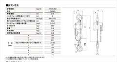 KITO CX003 Chain Block CX 250kg x 2.5m With Overload Limiter Japan NEW