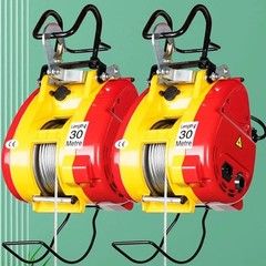 Mini Electric Hoist 220V Suspended Lifter Home Use Lifting Crane Winch