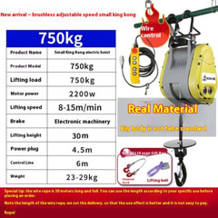 Brushless Inverter Small Diamond Electric Hoist 220v Crane Lift Adjustable Speed