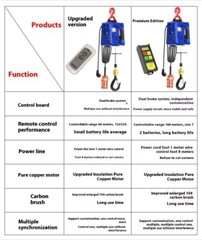 Electric Small Hoist 220v Crane Home Lifting Hoist Portable Remote Control