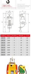 Little King Kong Mini Electric Hoist Motor 220V Small Hoist for Domestic Use