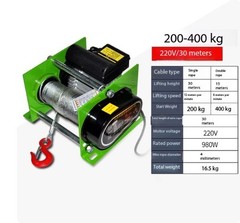 Electric Hoist Winch 220V Wireless Control Home Use Lifting Crane Small Crane