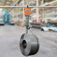 551lbs Chain Hoist Manual Puller Hoist 0.25 Ton Industrial 3M Lifting With Hook