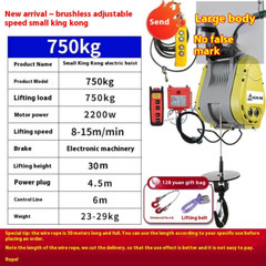 Brushless Inverter Small Diamond Electric Hoist 220v Crane Lift Adjustable Speed