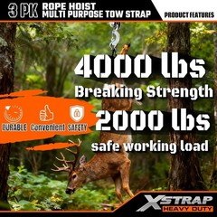 Heavy-Duty 4000LB Break Strength Rope Hoist & 2PK 8ft Lift Sling, Black