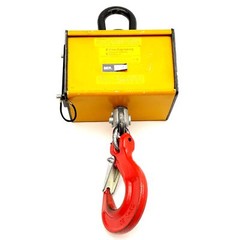 Eilon Engineering RON 3025 Crane Weigher, 0.5t Capacity, 5-Digit 1in LCD Display