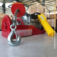 Electric Hoist 220V Crane Small Wireless Lift Hoist Winch Crane 12m 20m 30m