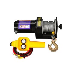 3500 Lbs/4000 Lbs/4500 Lbs Vehicle-Mounted Mini Crane Electric Winch 12V/24V
