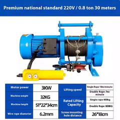 Electric Winch 220V Hoist Construction and Renovation Small Tool Crane