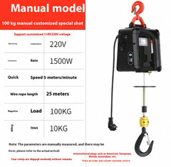 Electric Mini Hoist 220V Crane Home Use Lifting Hoist Portable Electric Hoist
