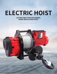 Brushless Speed Control Crane 220V Home Crane Electric Hoist Small Crane