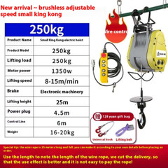 Brushless Inverter Small Diamond Electric Hoist 220v Crane Lift Adjustable Speed
