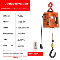 Electric Mini Hoist 220V Crane Home Use Lifting Hoist Portable Electric Hoist