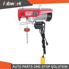 Labwork Electric Hoist 1320lbs Crane Winch with 14FT Wired Remote Control 110V