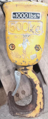 MANNESMANN DEMAG ELECTRIC HOIST 2-SPEED MODEL PK2NF 500 KG 460 VOLTS 3 PHASE