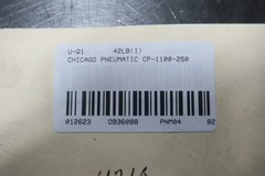Chicago Pneumatic CP-1100-250 Pneumatic Hoist 550lb 90psi