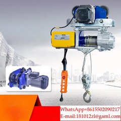 Twin-lift hoist 220V/ with trolley winch, electric hoist, and remote control.