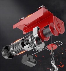 220V Home Use Small Hoist Lifting Machine 1/0.5 Ton Winch Crane