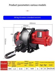 Brushless Variable-Speed Inverter-Driven Hoist 220V Household Lifting Machine