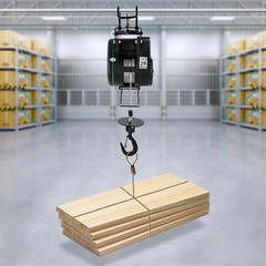 1800W 110V Electric Hoist with Wired Control Electric Chandelier Hoist LES-S500