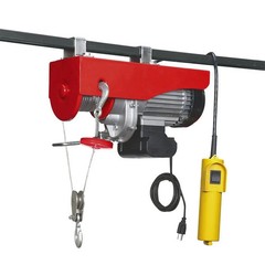 1300 lb. Electric Hoist with Remote Control- Single Cable Length of 39ft.