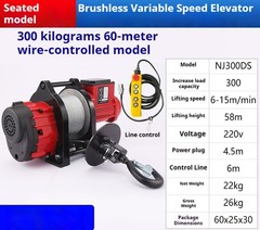 Brushless Adjustable Speed Variable Frequency Small Diamond Elevator 220V Crane