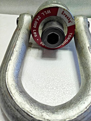 Crosby Swivel Hoist Ring 24,000 LBS WLL Torque: 800Ft-LBS (WITH LABEL)