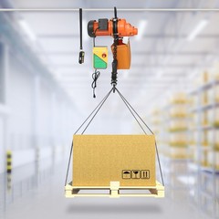 Electric Hoist 1102.31lbs Crane Winch with Wired Remote Control 1300W 110V