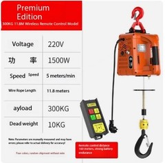 Electric Hoist 220V Small Crane for Domestic Use Compact Lifting Machine