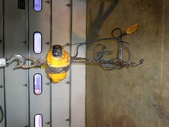 1/4 ton electic hoist 500lbs