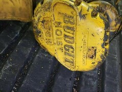BUDGET 1 TON HOIST with trolley
