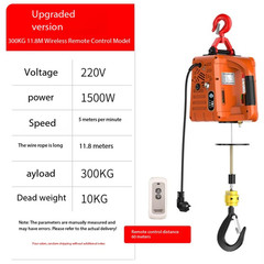 Micro Electric Hoist 220v Crane Lifting Motor Wireless Remote Control Elevator