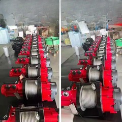 300 Kg Brushless Variable Speed Variable Frequency Crane 220V Household Crane