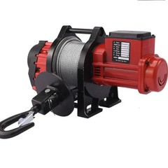220V Electric Hoist Lifting Crane Brushless Speed Converter Hoist Small Hoist