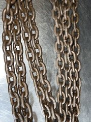 Cm Columbus Mckinnon 9/32 X 7” Adjustable Quad Sling Chain WLL Herc-Alloy 800