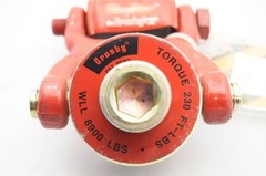 Crosby HR125W 1067610 Hoist Ring 2″ Web 3.1 Ton For Synthetic Sling 8900 lbs WLL