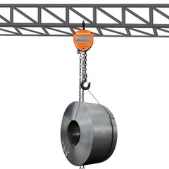 0.25Ton G80 Manganese Steel Hand Chain Hoist 3m Lift Orange Triangle Shell