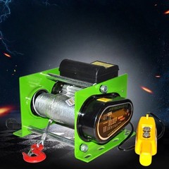 Electric Hoist Winch 220V Wireless Control Home Use Lifting Crane Small Crane