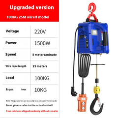 Electric Mini Hoist 220V Crane Home Use Lifting Hoist Portable Electric Hoist