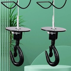 Mini Electric Hoist 220V Suspended Lifter Home Use Lifting Crane Winch