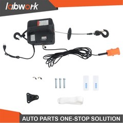 Labwork 3-in-1 Electric Hoist Winch Crane 1100LB Dual Remote Overload Safety