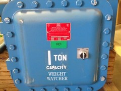 Shaw-Box LiftTech Electric Cable Hoist 1 TON Capacity , 80L01050S18