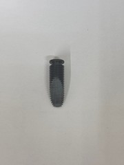 CMCO / BUDGIT SPEED ADJUSTING SCREW ; 11387401