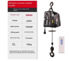 Electric Hoist 220V Home Use Mini Crane Lifter Remote-Controlled Electric Hoist