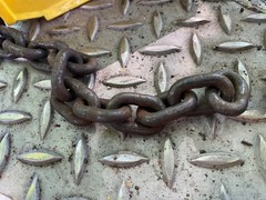 13′ Of 1 Ton Hoist Chain 1/4″ chain, 13/16″ x 1-3/16″ links.