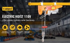 Electric Hoist 660lbs Crane Winch with Wireless Remote Control 600W 110V