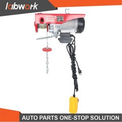 Labwork Electric Hoist 1320lbs Crane Winch with 14FT Wired Remote Control 110V