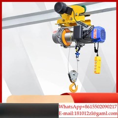 Twin-lift hoist 220V/ with trolley winch, electric hoist, and remote control.