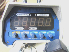 CASTON II DIGITAL CRANE HOIST SCALE 2THB 5000LBS X 2LBS 6VDC W/ CHARGER