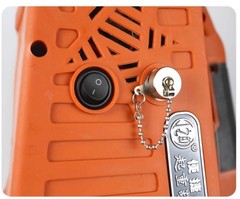 Portable Electric Hoist 220V Mini Crane with Wireless Remote Control for HomeUse